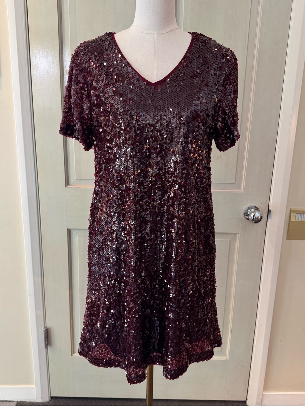 Pink Desert Sequin V-Neck Dress in Berry